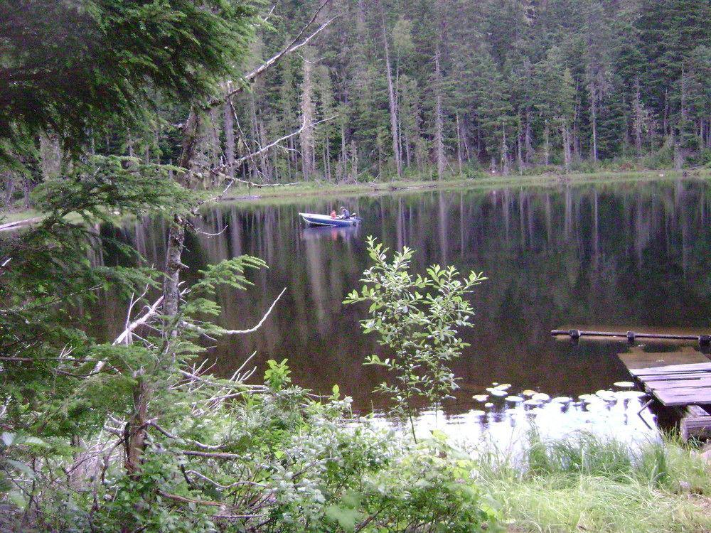 Blue River Cabins & Campgrounds Екстериор снимка